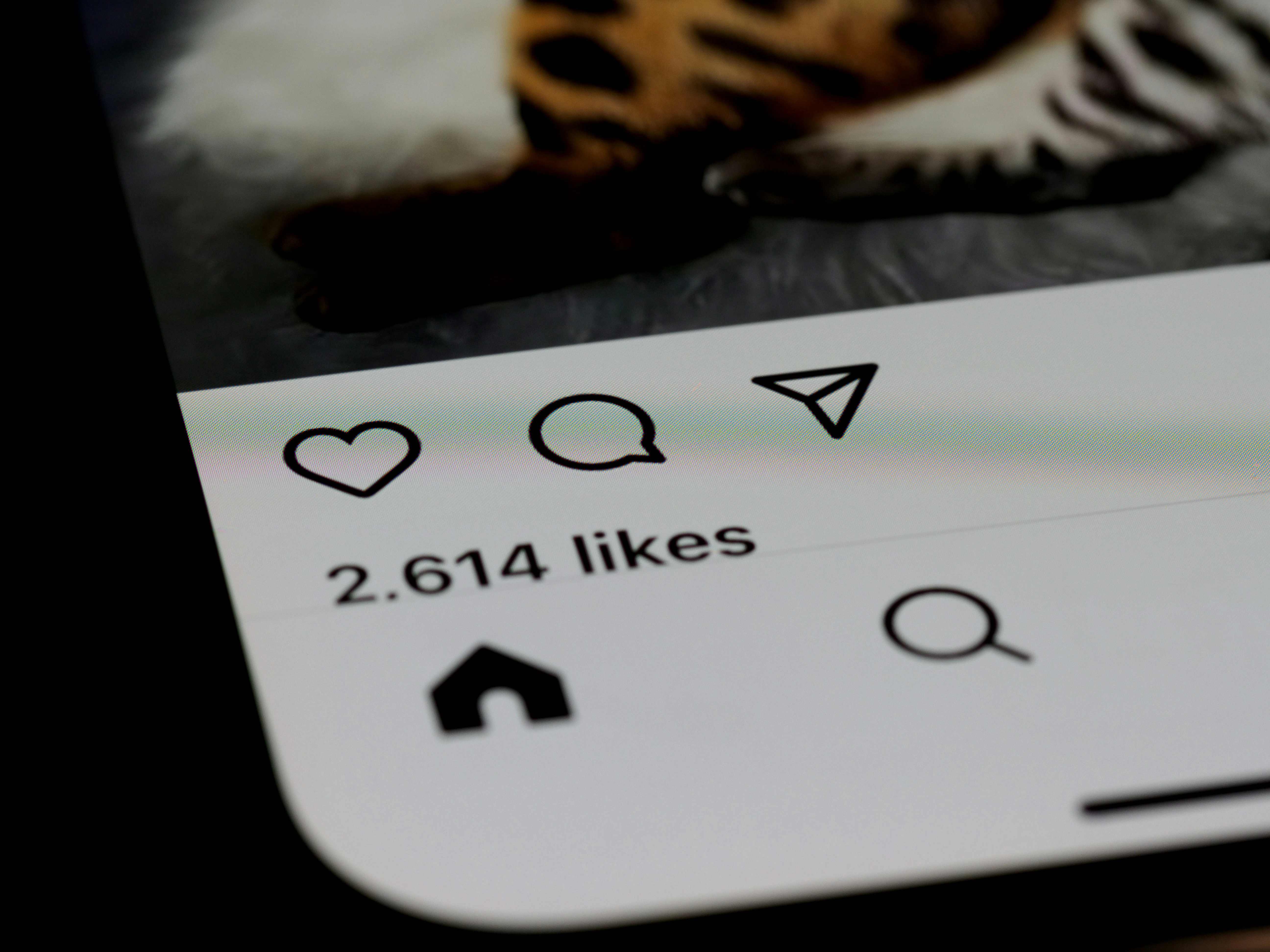 A leopard-print pattern representing noise and mixed signals in an Instagram audience